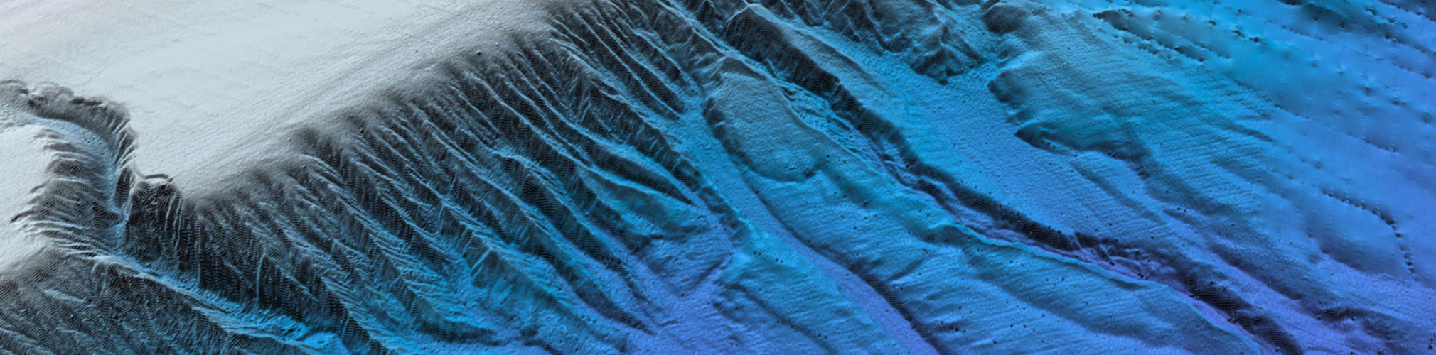 Privacy Policy Continental Shelf Associates, Inc.